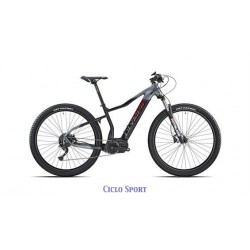 OLYMPIA E-BIKE PERFORMER 900 [29"]