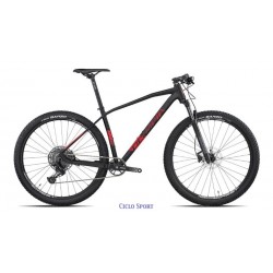 MTB Olympia Team SXE 29