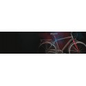 Bici UOMO