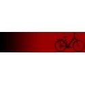 Bici DONNA