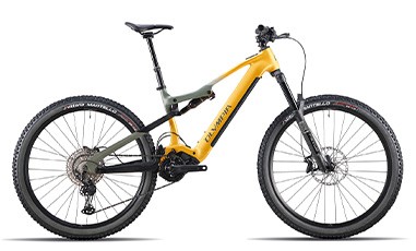 Olympia F1 Limited - 29" MTB